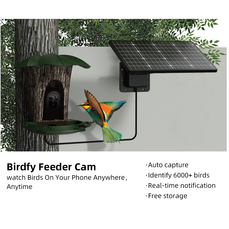 Bird Feeder Camera Wifi Smart Ai - RS1 鳥識別カメラ 防水 2MP 6Wソーラーパネル 4G
