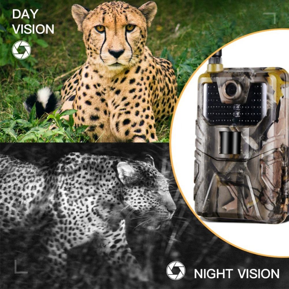 SuntekCam HC-900LTE 4G トレイルカメラ - Trail Camera 4K 48Mp Cellular 4G のレビューと価格
