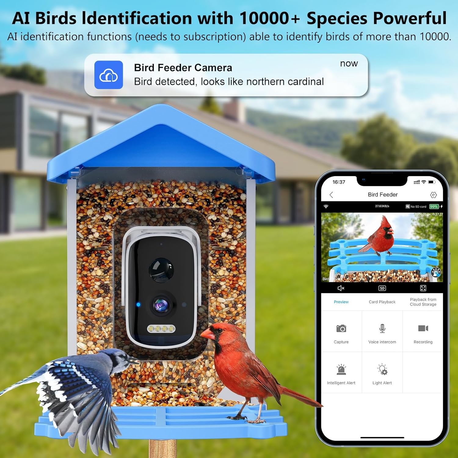 スマートバードフィーダー カメラ付きAI鳥種識別 ソーラー充 - Bird Feeder Camera Wifi Smart Ai のレビューと価格