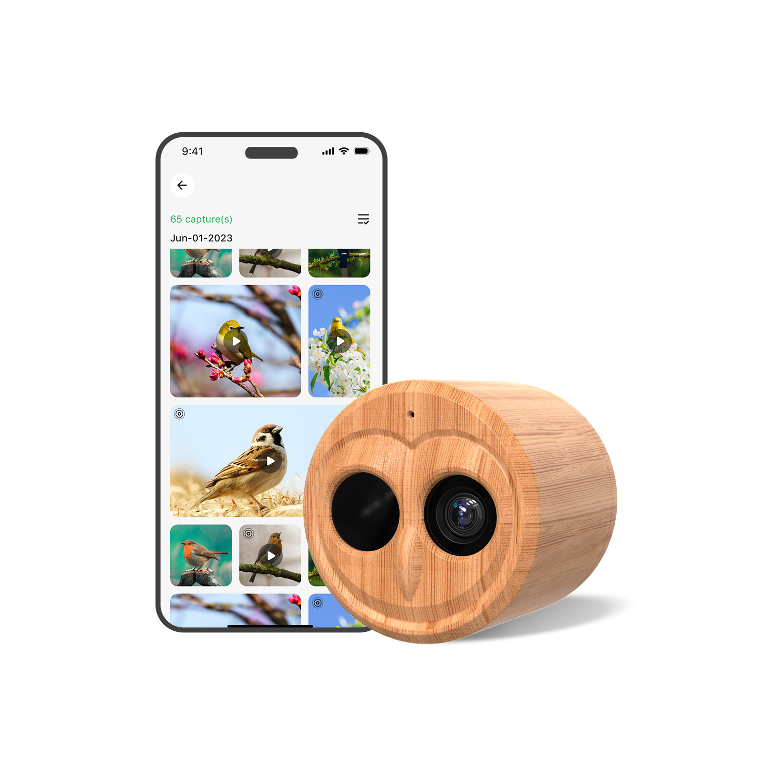 4Kスマートバードフィーダー カメラ付き ソーラー電源 AI - Bird Feeder Camera Wifi Smart Ai のレビューと価格