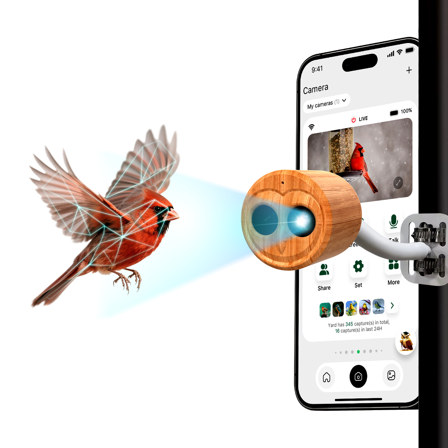 4Kスマートバードフィーダー カメラ付き ソーラー電源 AI - Bird Feeder Camera Wifi Smart Ai のレビューと価格