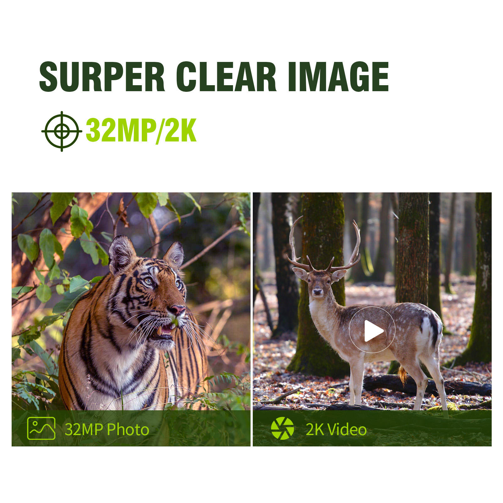 Keepguard 2K セルラートレイルカメラ ライブスト - Cellular Trail Camera Live Stream のレビューと価格