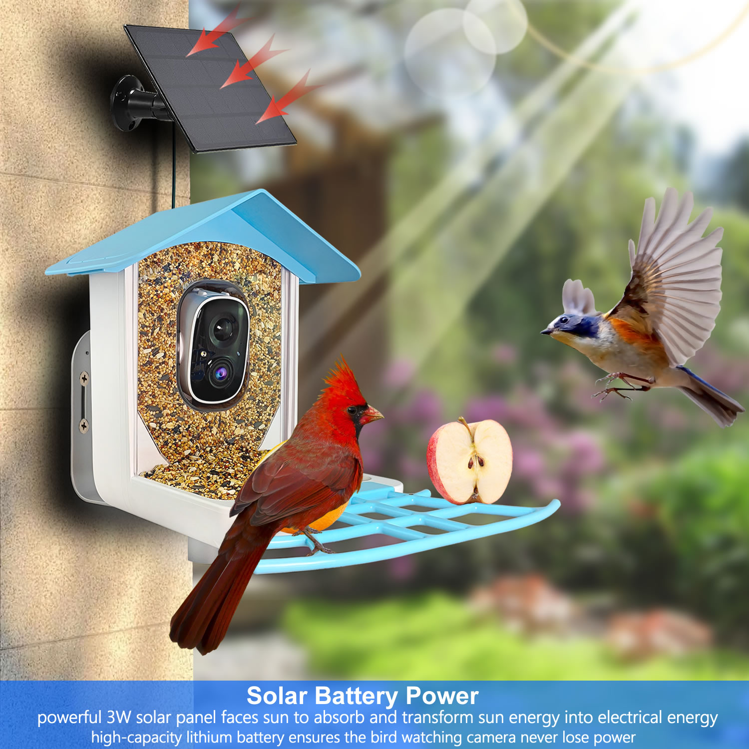 新しい屋外ワイヤレススマートAI識別バッテリー式鳥の巣箱給餌 - Bird Feeder Camera Wifi Smart Ai のレビューと価格