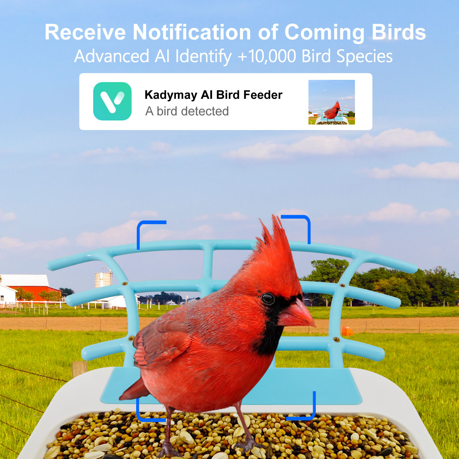 新しい屋外ワイヤレススマートAI識別バッテリー式鳥の巣箱給餌 - Bird Feeder Camera Wifi Smart Ai のレビューと価格
