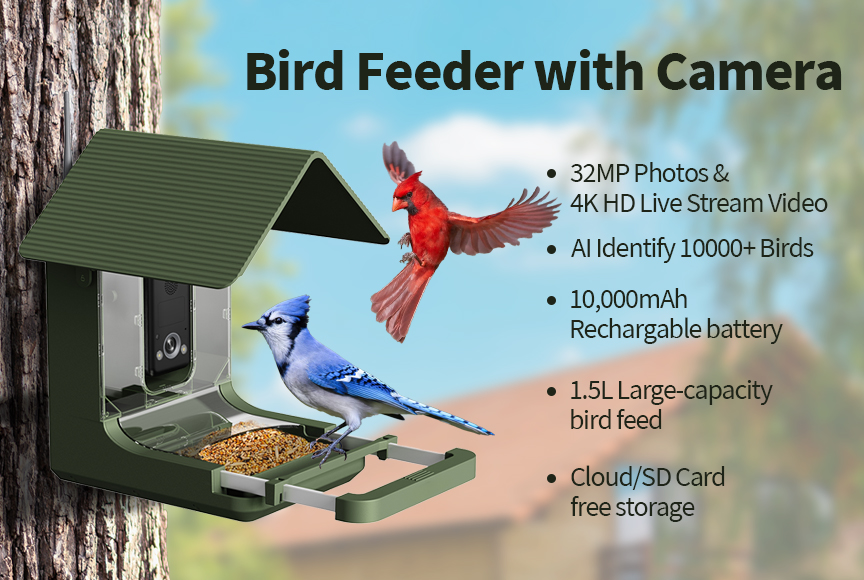 OEMカスタム防水4K AIスマートバードフィーダーカメラ、 - Bird Feeder Camera Wifi Smart Ai のレビューと価格