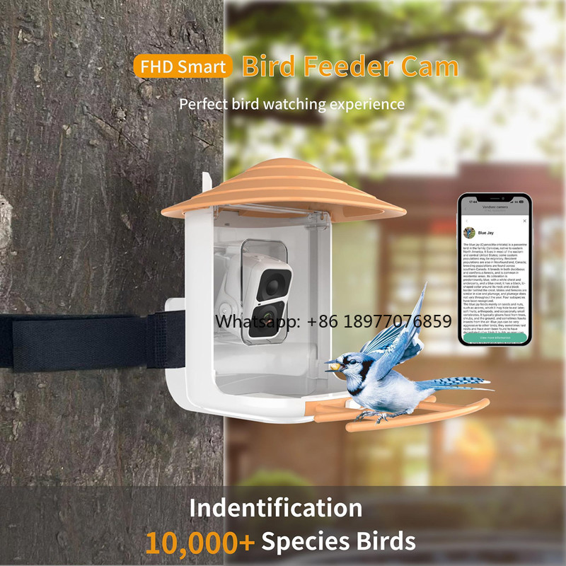 2026年モデル 2L IP66 AIスマートバードフィーダ - Bird Feeder Camera Wifi Smart Ai のレビューと価格