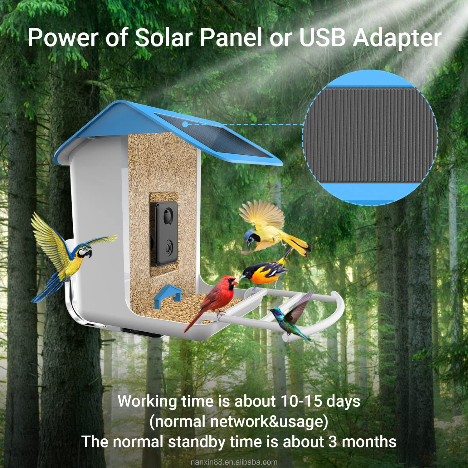 スマートバードフィーダー、1080P HDカメラ、AI認識、 - Bird Feeder Camera Wifi Smart Ai のレビューと価格