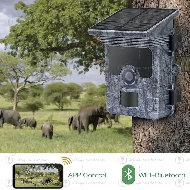 ハンティングカメラ 4K WiFi ソーラーパネル式 トレイ - Trail Camera Solar Panel Powered のレビューと価格