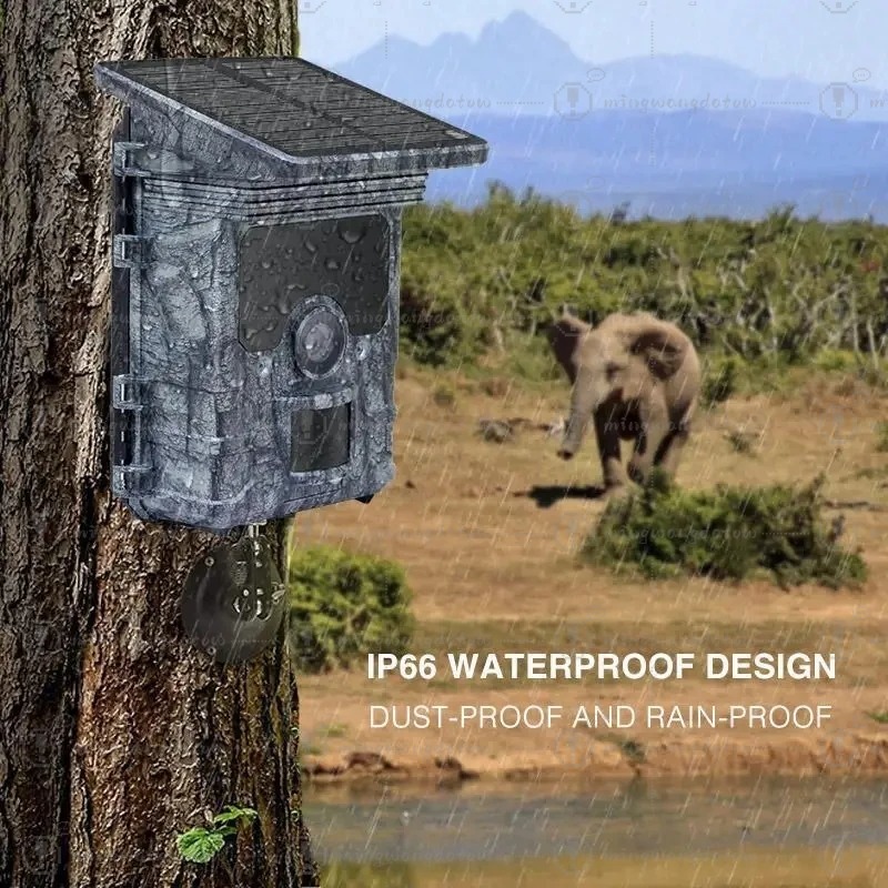 ハンティングカメラ 4K WiFi ソーラーパネル式 トレイ - Trail Camera Solar Panel Powered のレビューと価格