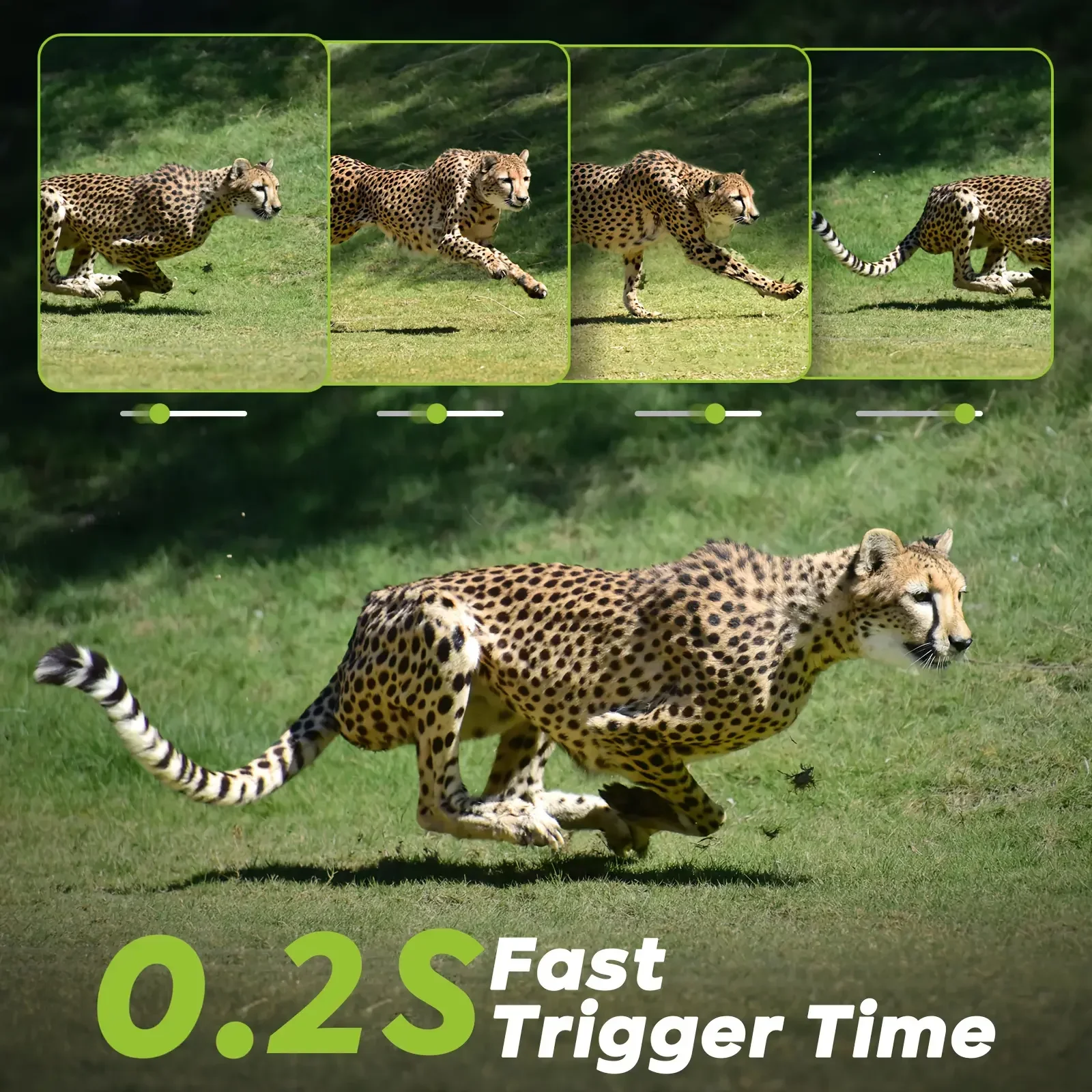 4G LTEセルラートレイルカメラ 8K 48MP ゲームカ - Hunting Game Camera Night Vision No Glow のレビューと価格