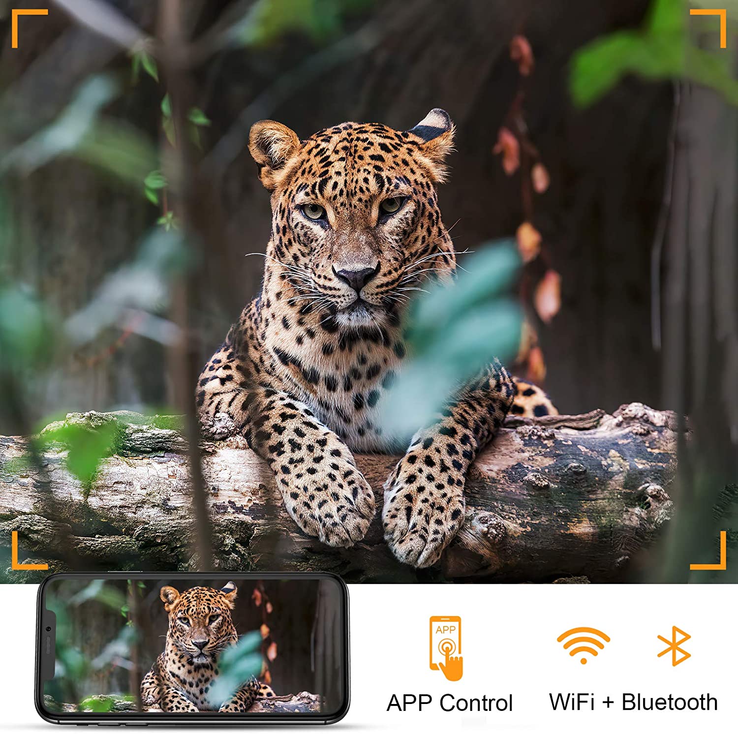 4K WIFIハンティングカメラ ライブストリーム 30MP - Trail Camera Wifi Bluetooth App Control のレビューと価格