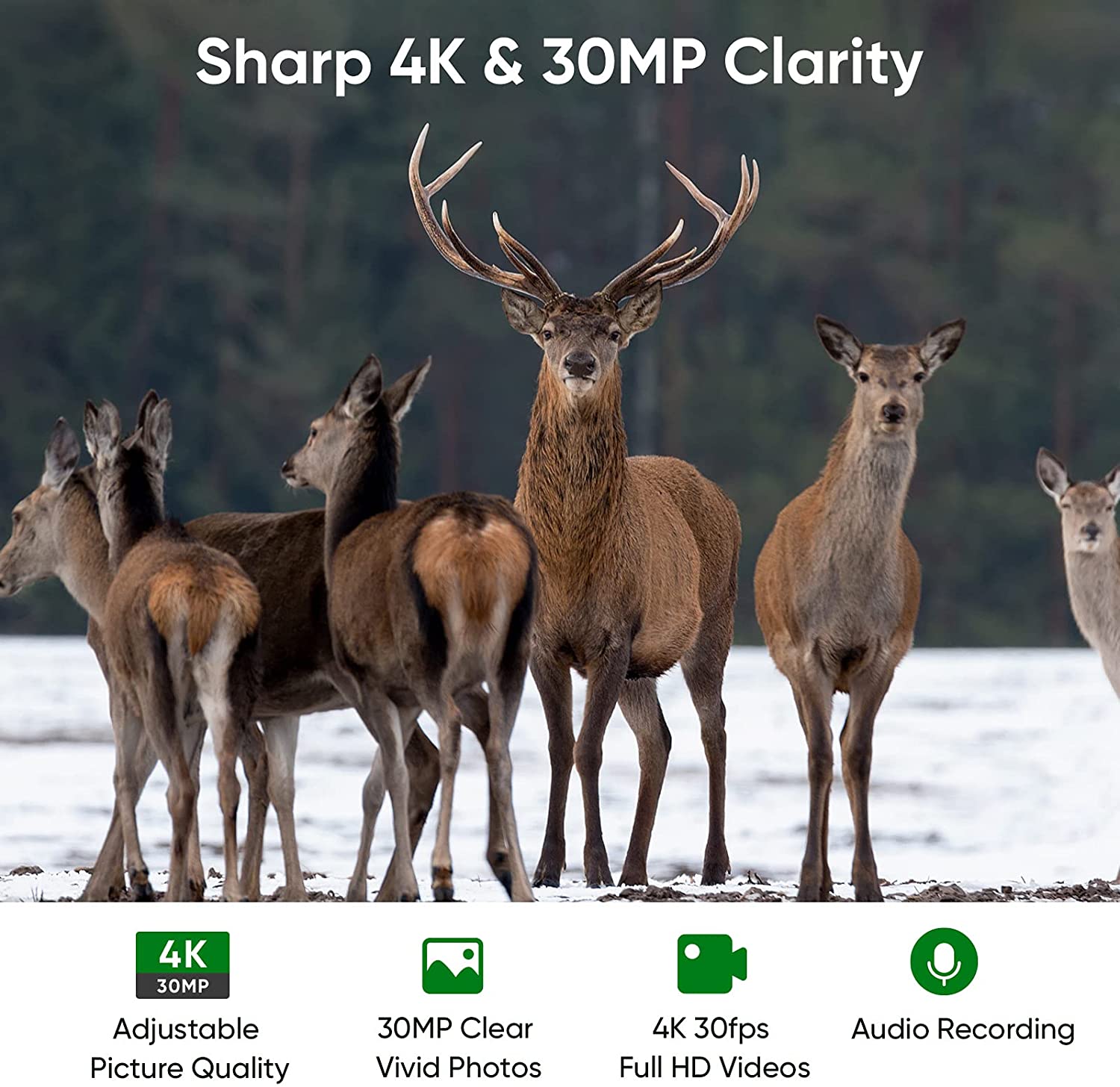 4K WIFIハンティングカメラ ライブストリーム 30MP - Trail Camera Wifi Bluetooth App Control のレビューと価格