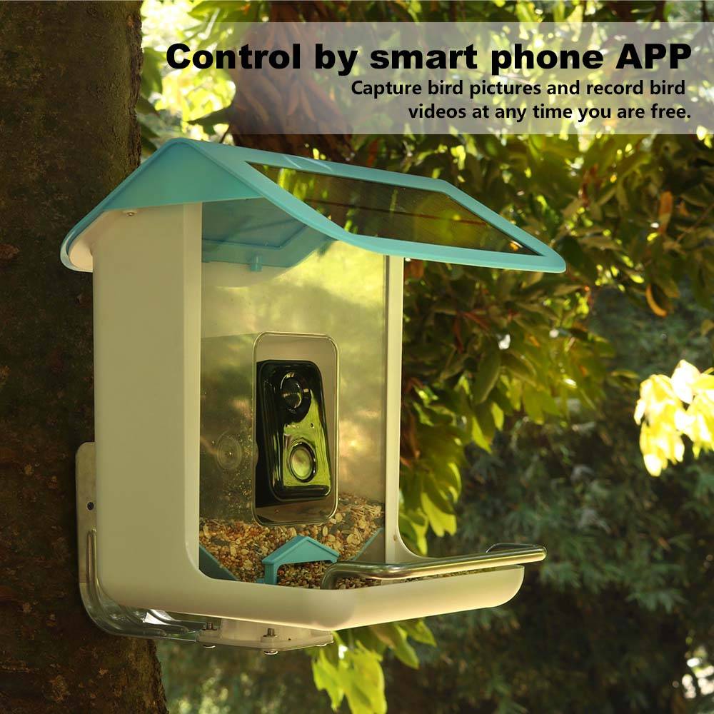 野生動物用Wi-Fiカメラ、AIによる鳥種認識機能付き、ソー - Bird Feeder Camera Wifi Smart Ai のレビューと価格