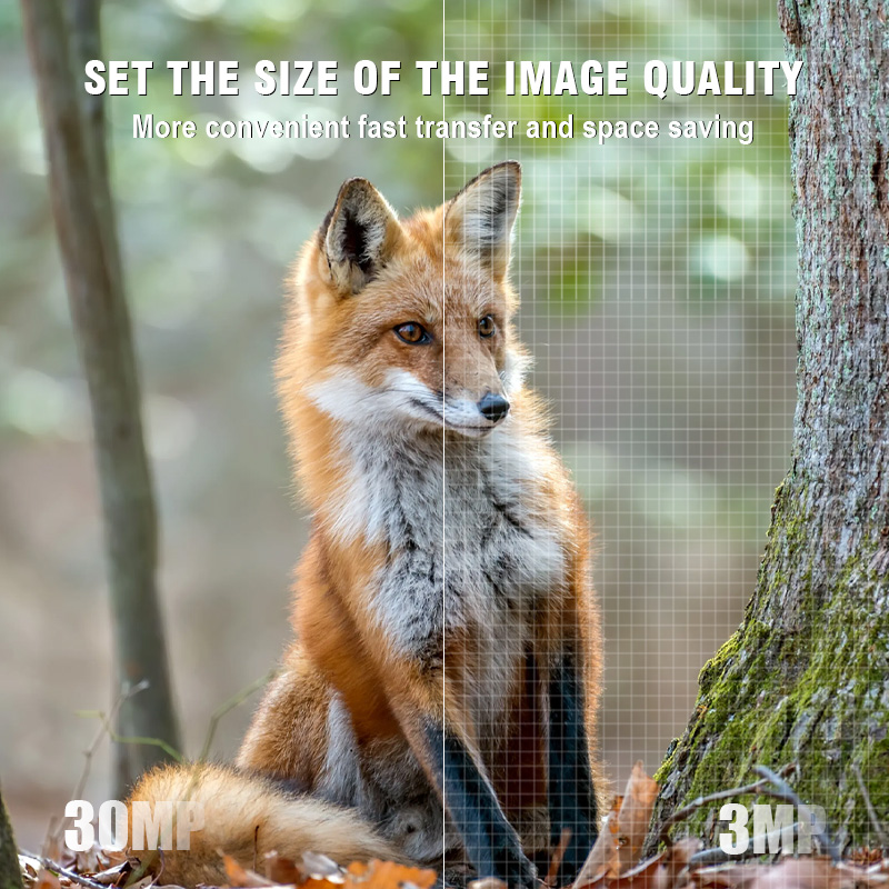 暗視機能なし IP67 0.6秒応答速度 ハンティング 30 - Hunting Game Camera Night Vision No Glow のレビューと価格