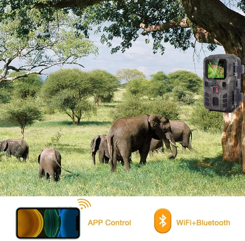 WiFi301 トレイルカメラ、ワイヤレスBluetooth - Trail Camera Wifi Bluetooth App Control のレビューと価格