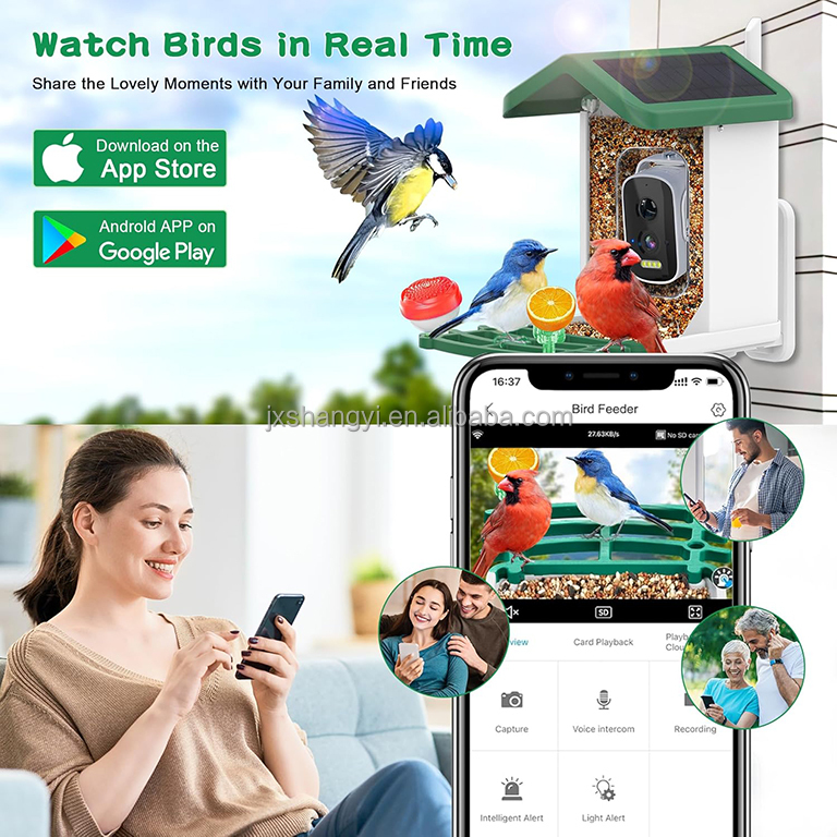 OEM自動識別ライブビューWIFIスマートAIバードフィーダ - Bird Feeder Camera Wifi Smart Ai のレビューと価格