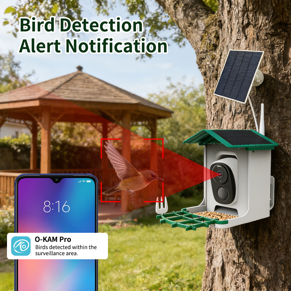 スマートバードフィーダー、ソーラーHDカラーウィファイカメラ - Bird Feeder Camera Wifi Smart Ai のレビューと価格