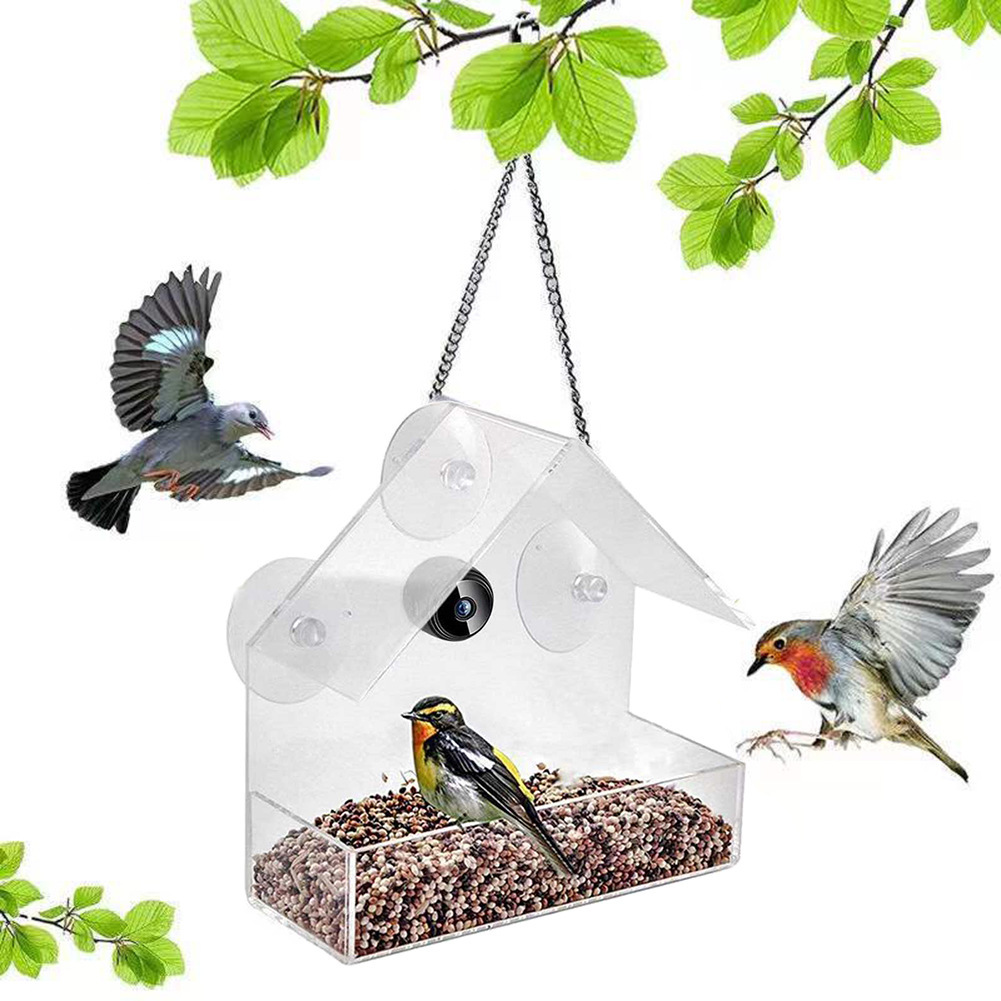 スマートバードフィーダー＆カメラ 屋外野生動物カメラ AI検 - Bird Feeder Camera Wifi Smart Ai のレビューと価格