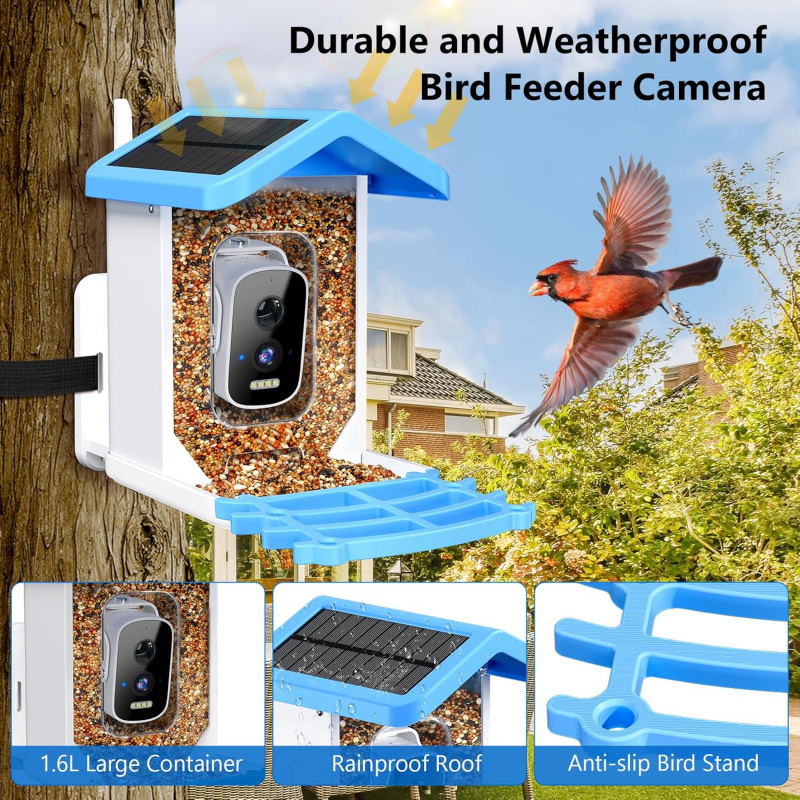 WiFiスマートバードフィーダー カメラ付き AI鳥種識別  - Bird Feeder Camera Wifi Smart Ai のレビューと価格