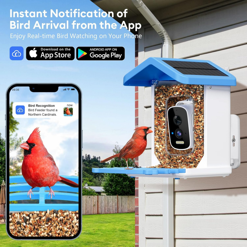 WiFiスマートバードフィーダー カメラ付き AI鳥種識別  - Bird Feeder Camera Wifi Smart Ai のレビューと価格