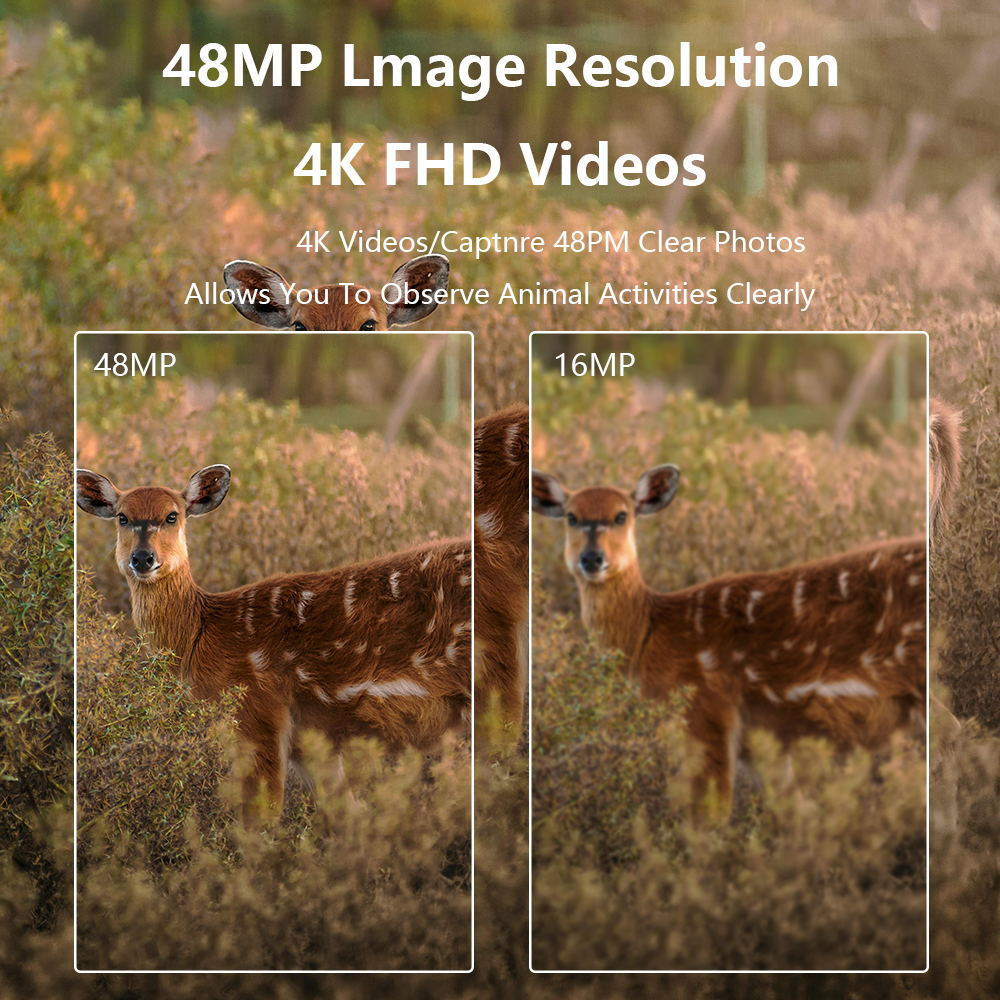 46 LED赤外線ナイトビジョン野生動物カメラ 48MP 4 - Night Vision Trail Camera Infrared Leds のレビューと価格