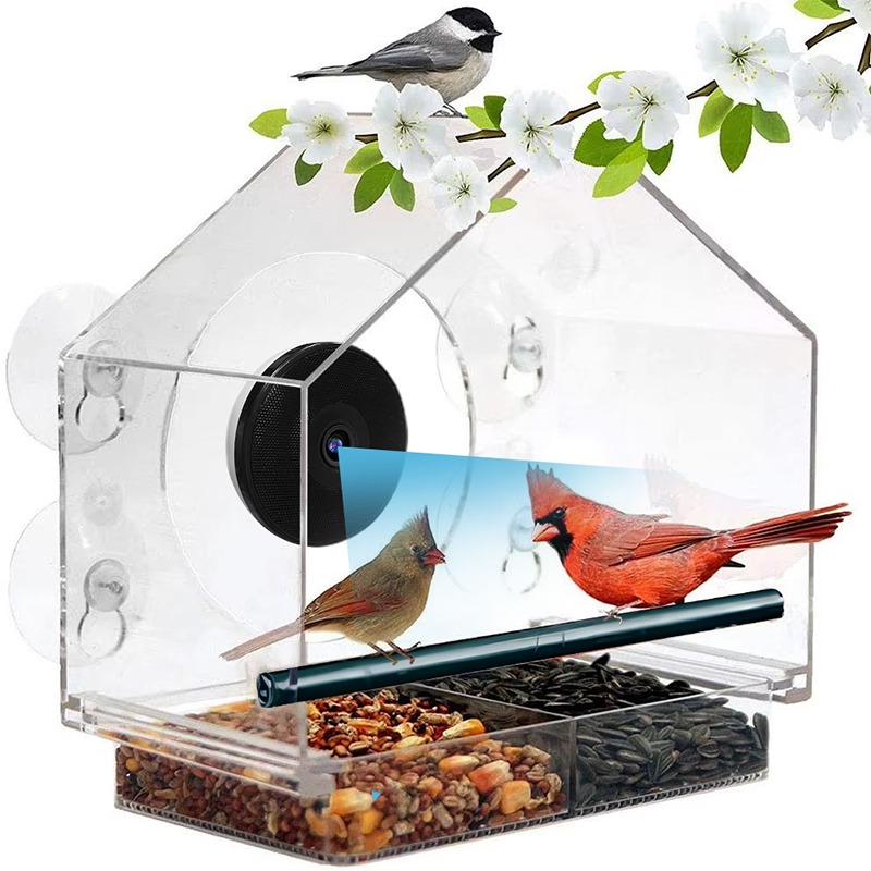 AI鳥認識スマートバードフィーダーカメラ双方向音声インターコ - Bird Feeder Camera Wifi Smart Ai のレビューと価格