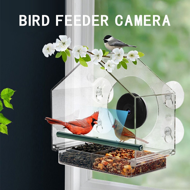 AI鳥認識スマートバードフィーダーカメラ双方向音声インターコ - Bird Feeder Camera Wifi Smart Ai のレビューと価格
