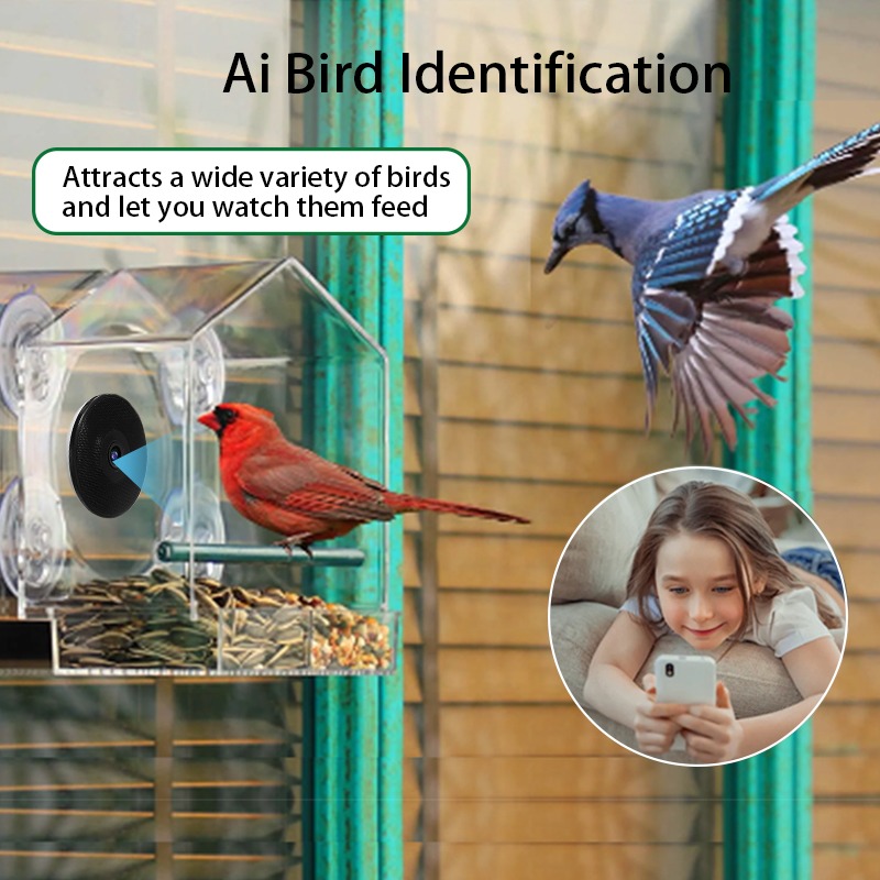 AI鳥認識スマートバードフィーダーカメラ双方向音声インターコ - Bird Feeder Camera Wifi Smart Ai のレビューと価格